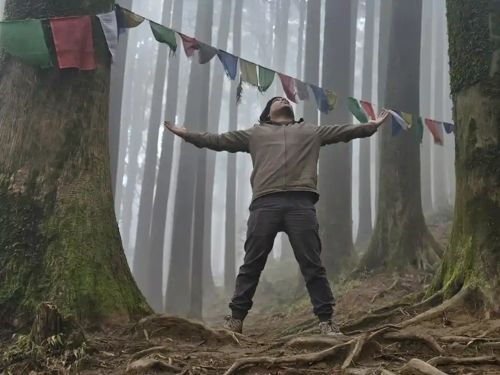 amusetripz-review-106