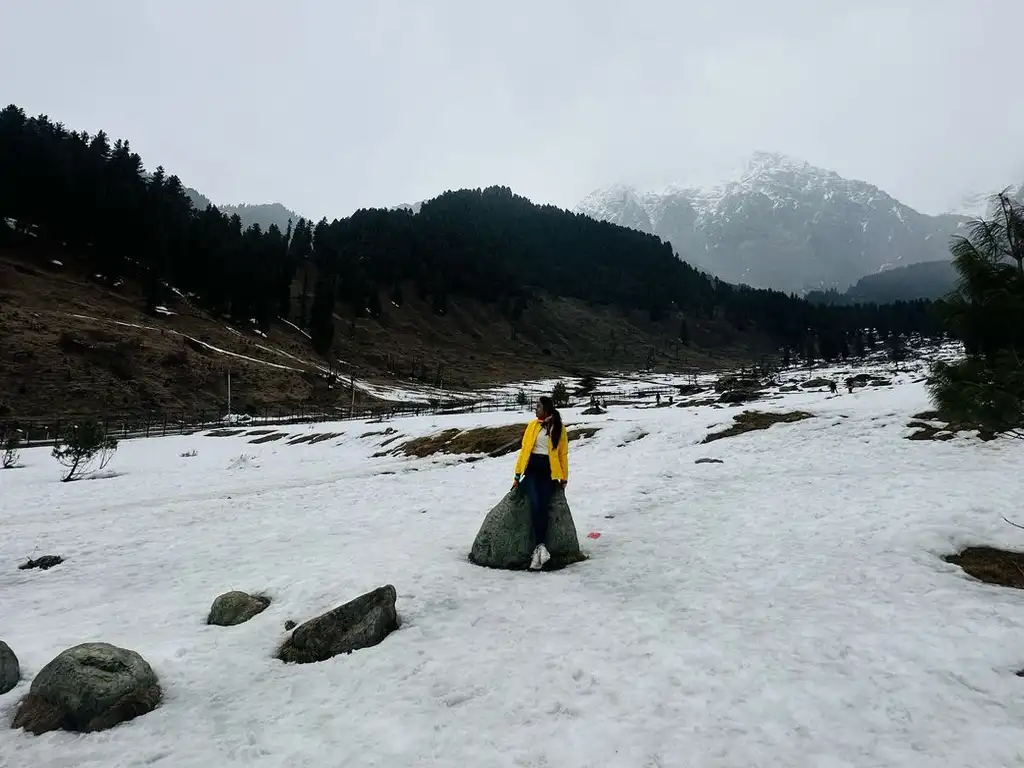 amusetripz-review-107