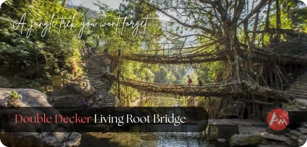 Double Decker Living Root Bridge