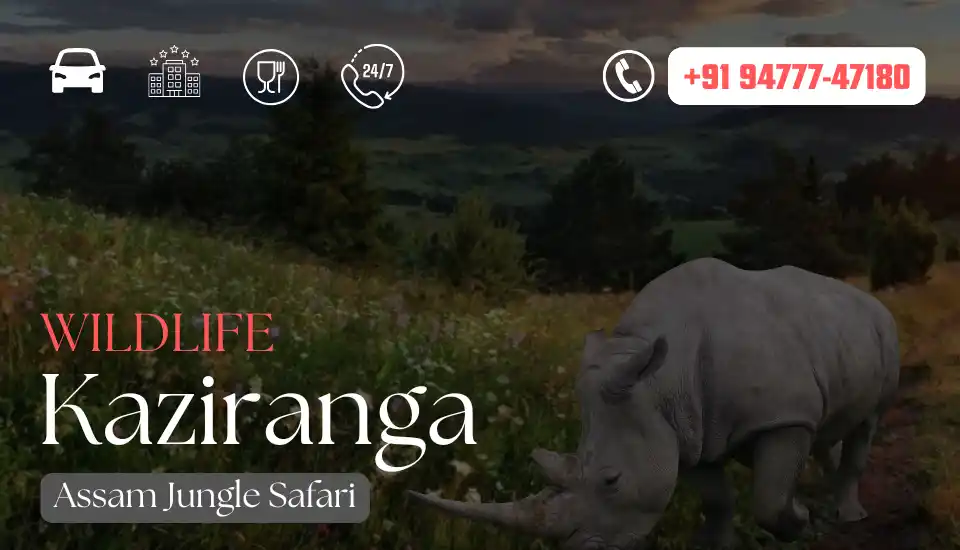 kaziranga-safari-booking-banner-2