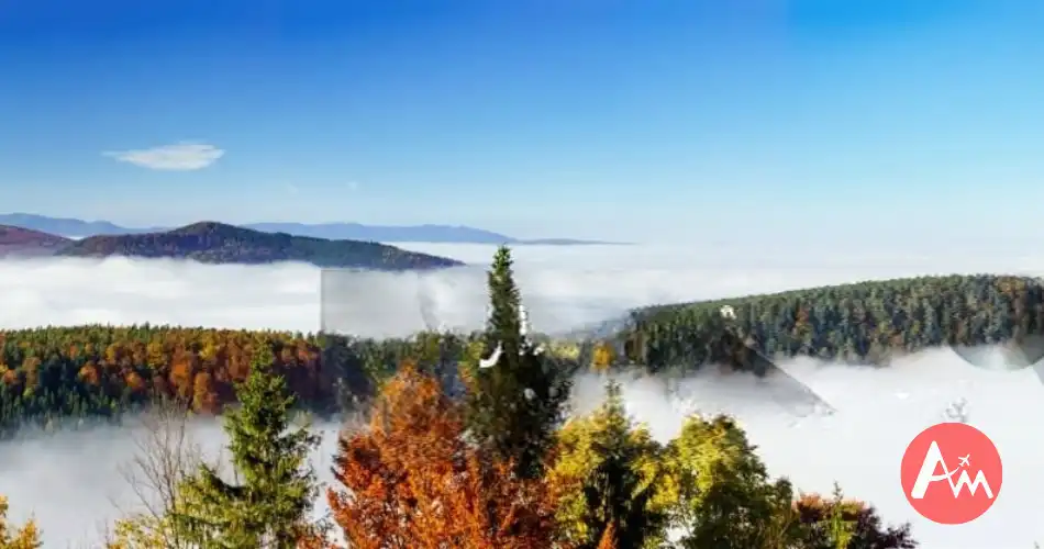 meghalaya-tour-package-1