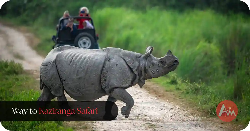 how-to-reach-kaziranga-national-park