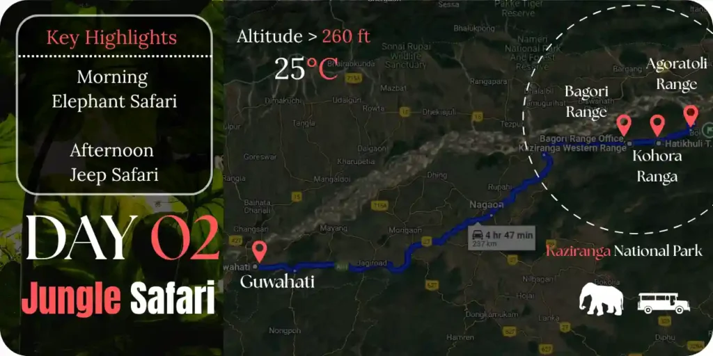 kaziranga-safari-booking-day-2