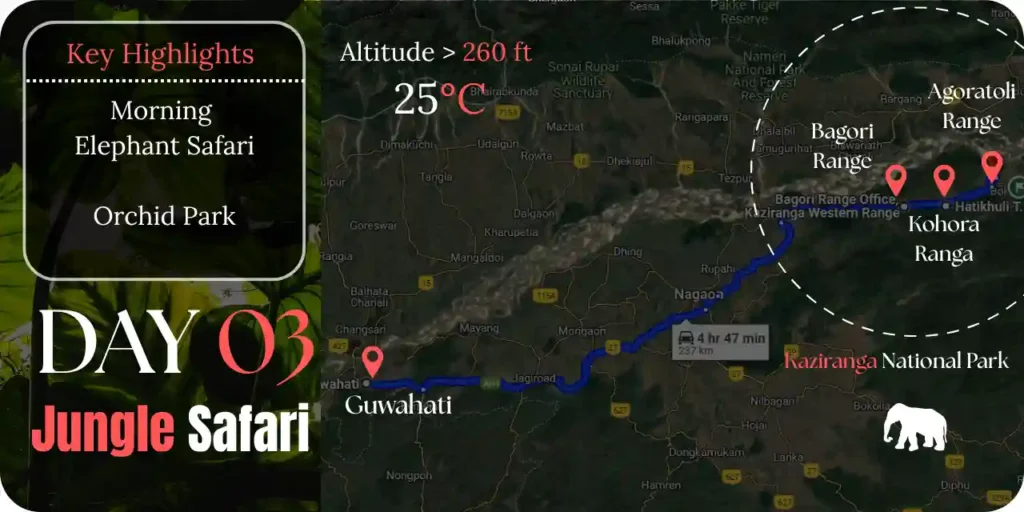 kaziranga-safari-booking-day-3