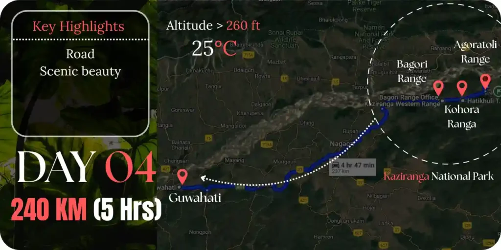 kaziranga-safari-booking-day-4