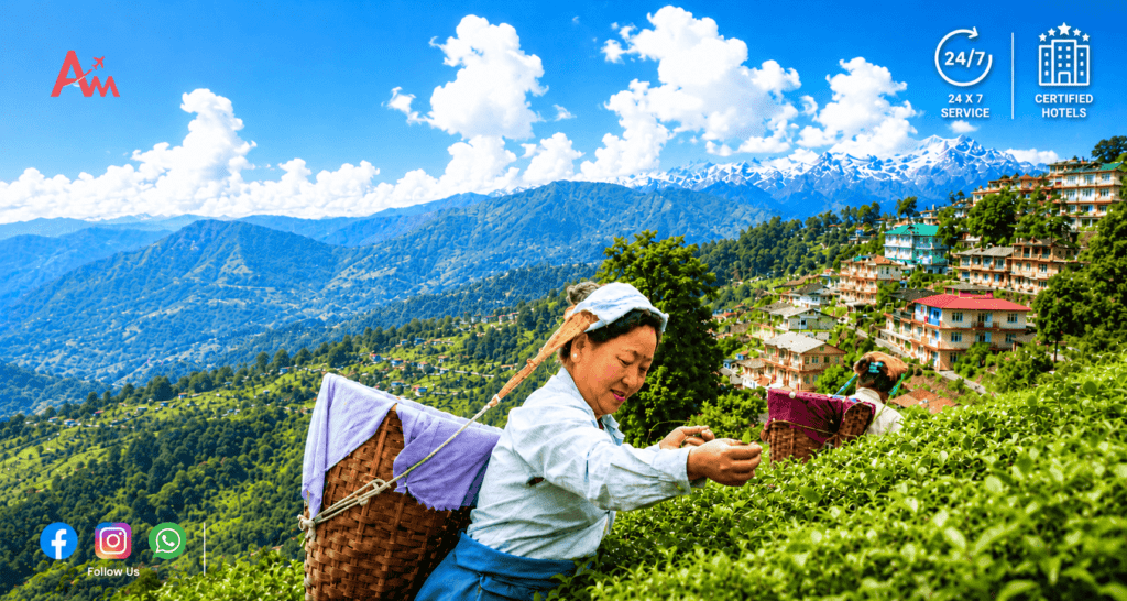 Tea Garden Visit Included in Darjeeling Tour Package